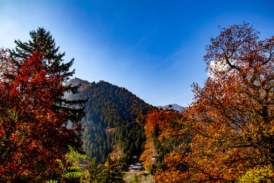 興隆山秋色