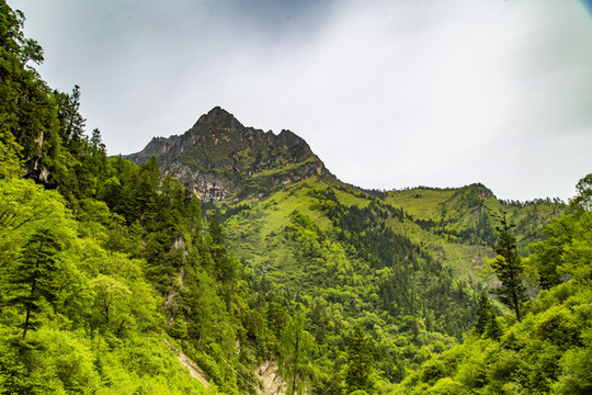 宕昌官鵝溝景區(qū)官珠溝