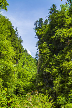 宕昌官鵝溝景區(qū)官珠溝