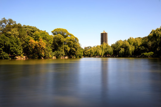 北大校園風(fēng)光未名湖博雅塔楊柳