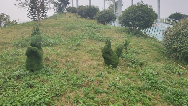 兔子景觀