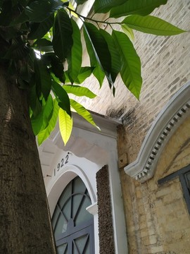古建與新芽