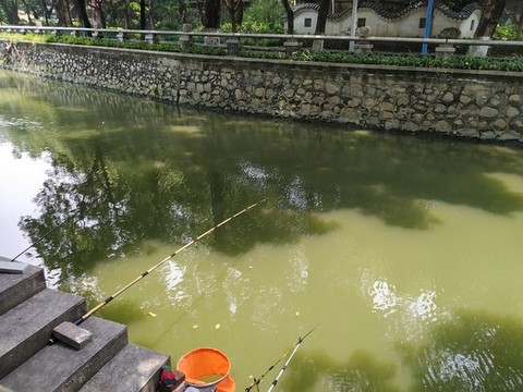 釣魚
