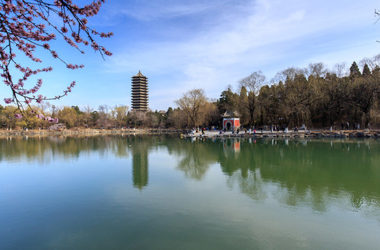 北大校園春色未名湖博雅塔桃花