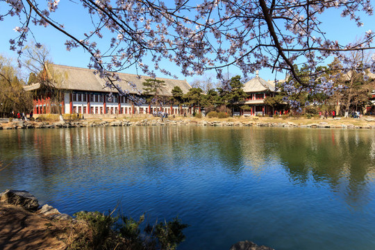 北大未名湖春光桃花紅四樓體齋