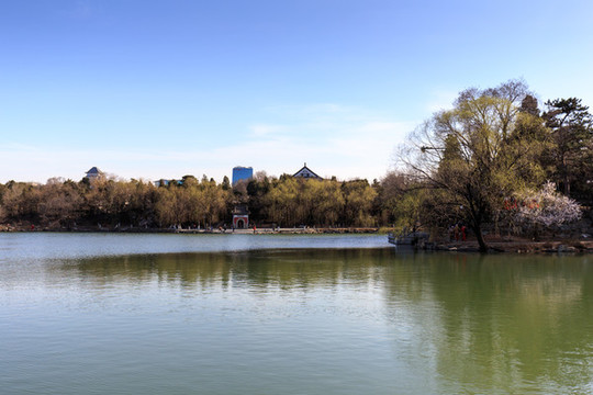 北大校園風(fēng)光未名湖慈濟(jì)寺山門