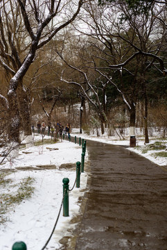 北大冬景未名湖畔林間小道積雪