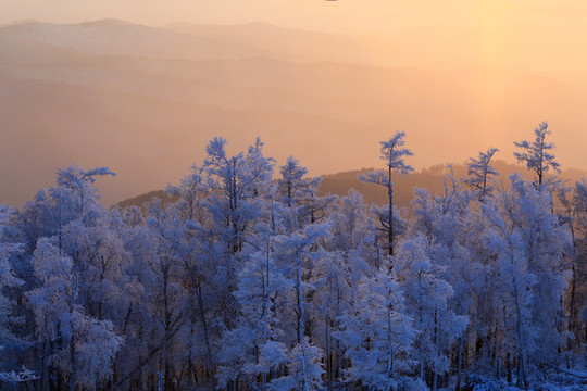 大興安嶺雪林霧凇夕陽