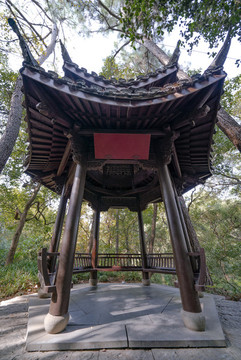 公園亭子