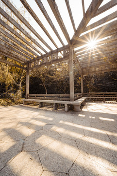 秋天的公園長廊