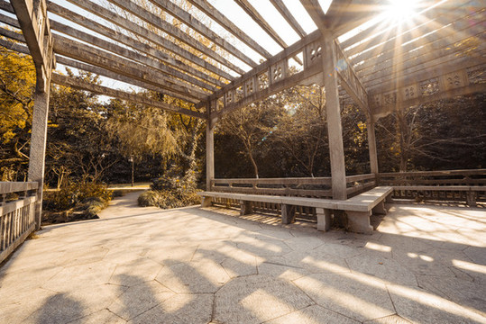秋天的公園長廊