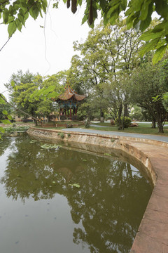 南園小景