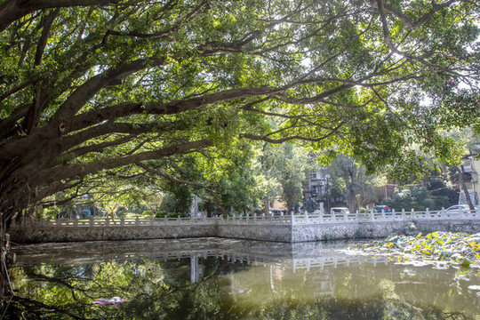 公園