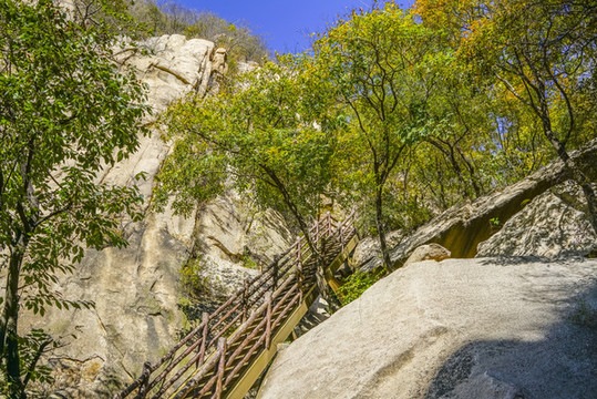 登山步道高清大圖