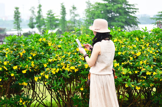公園里戴帽子的美女背影