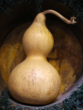 葫蘆