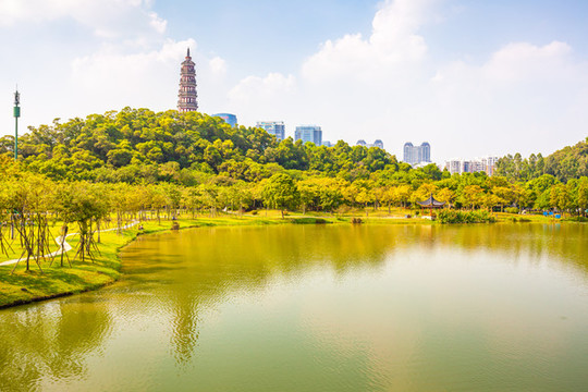 順峰山公園青云湖