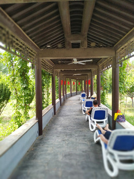 公園長廊