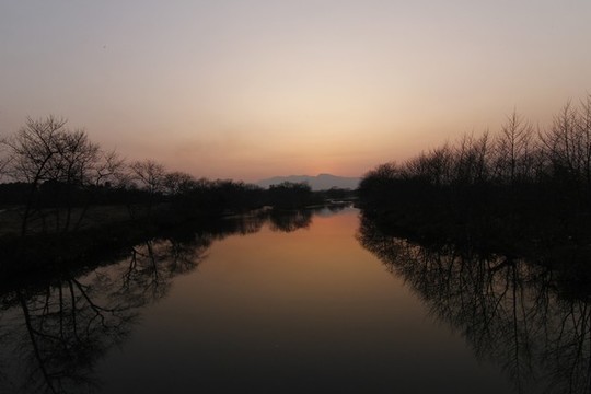 樹林