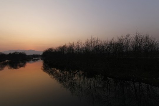 樹林
