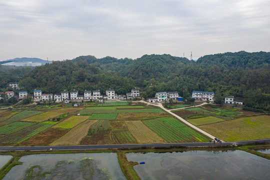 美麗鄉(xiāng)村航拍