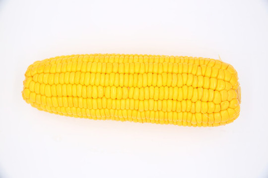 玉米