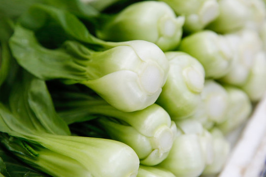 青菜