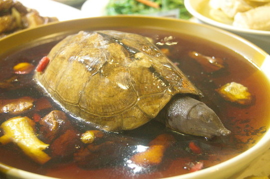 潮州菜肴