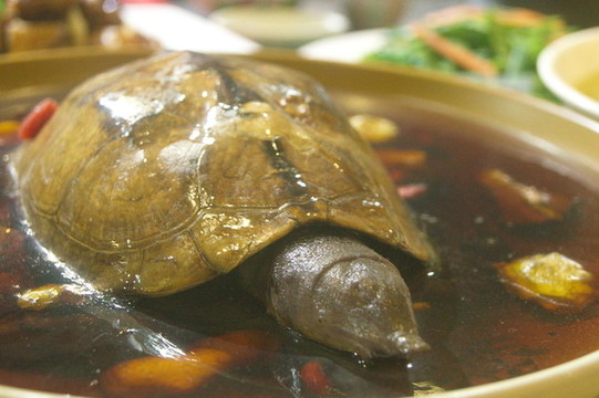 一盤水魚