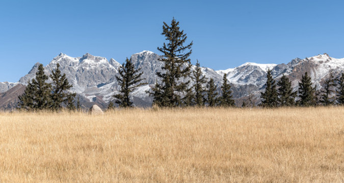 青海祁連山卓爾山