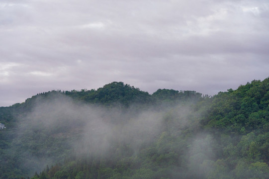 山頂云霧