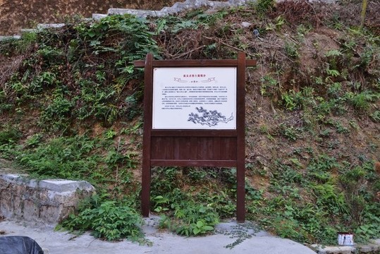 袁文才墓地介紹