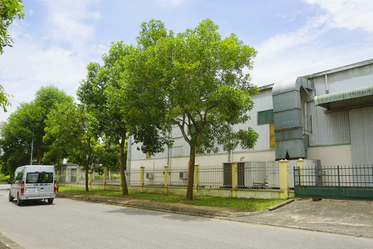 越南海陽省大安工業(yè)區(qū)園區(qū)街景