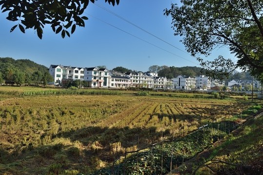 漆工鎮(zhèn)湖塘村風(fēng)光