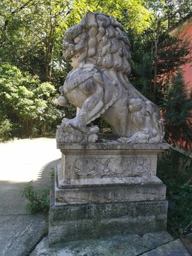石獅子側(cè)面