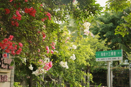 三亞路牌