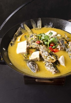 吊鍋黃骨魚