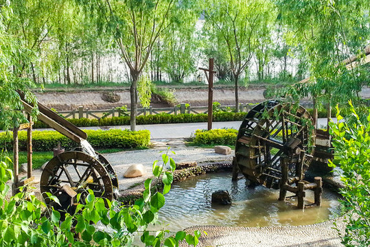 水車(chē)園小景