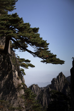登黃山天下無山