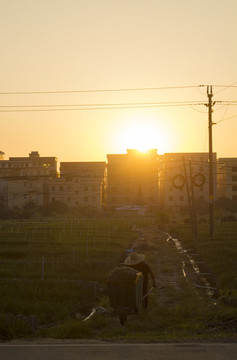 夕陽
