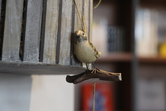 裝飾鳥掛件