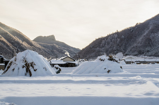 雪景