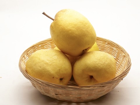 碭山梨