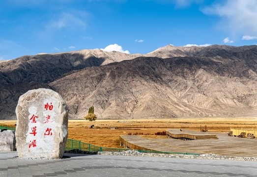 帕米爾高原金草灘