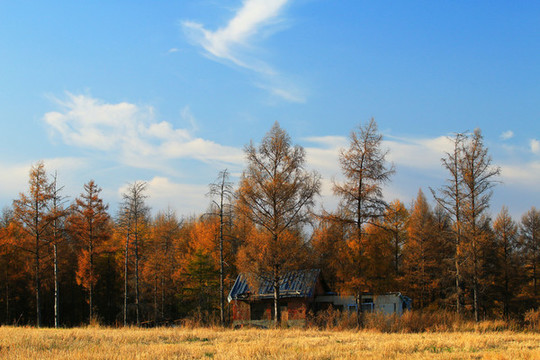 田野農(nóng)家秋景