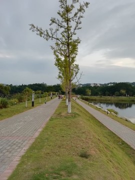 公園