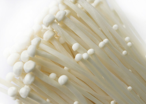 金針菇
