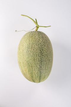 哈密瓜