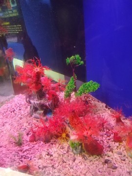 蓬萊極地海洋世界