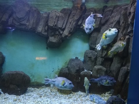 蓬萊極地海洋世界